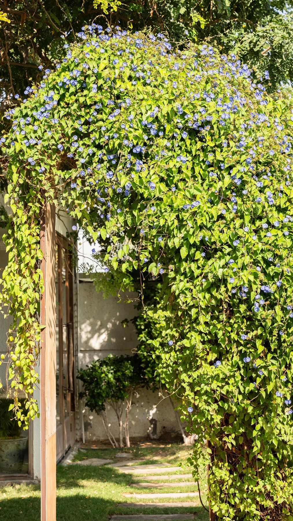 Blue flower arch at Oath Cafe